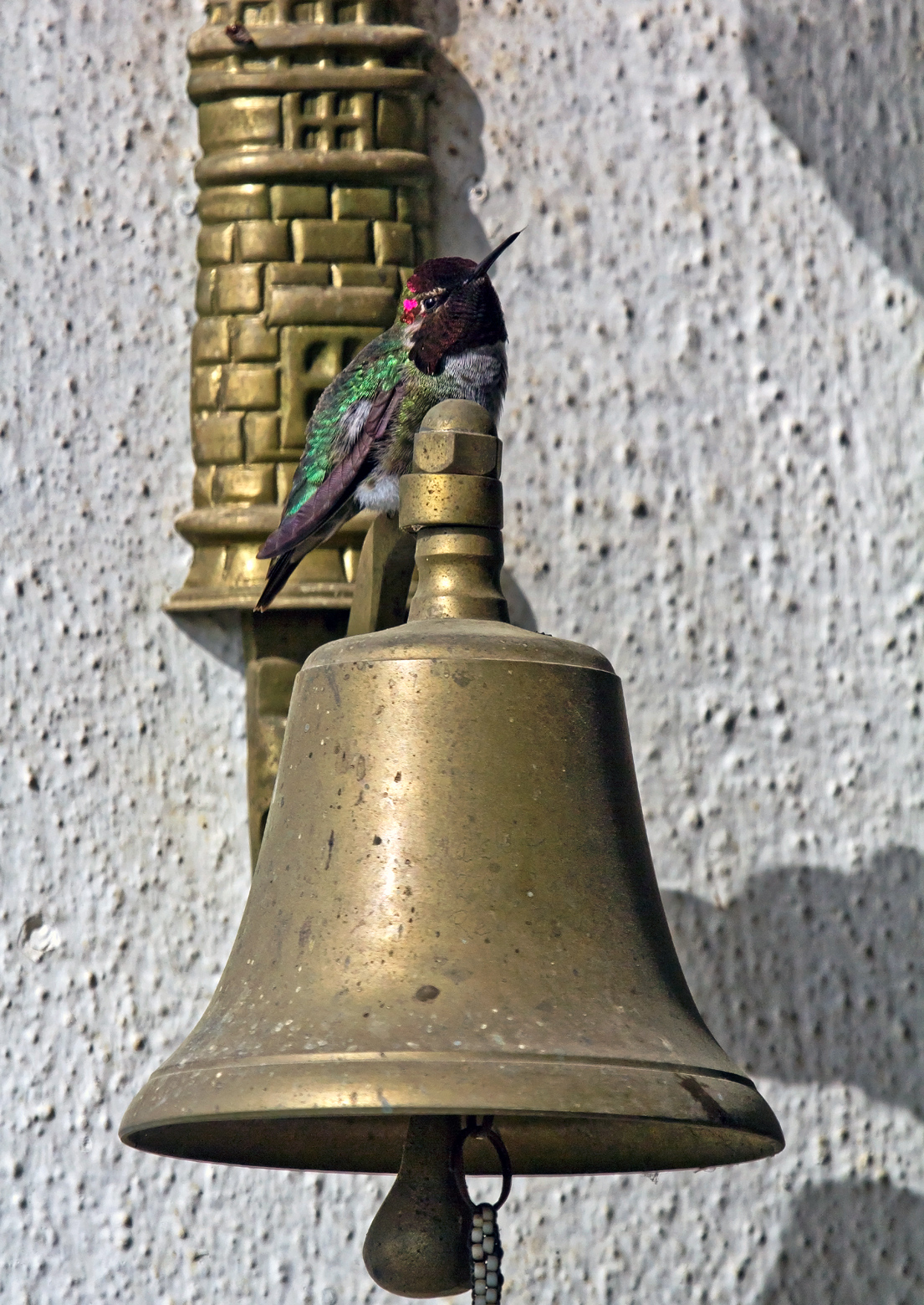 Dinner Bell