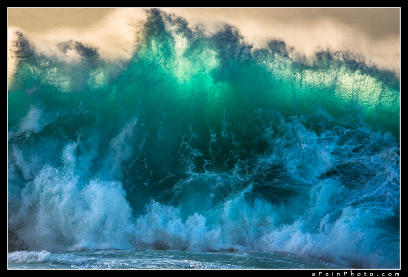 The Kraken