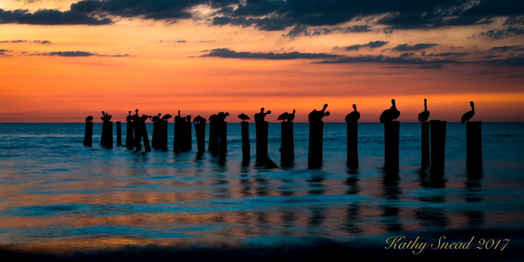 Sentinels at Sunset & RP