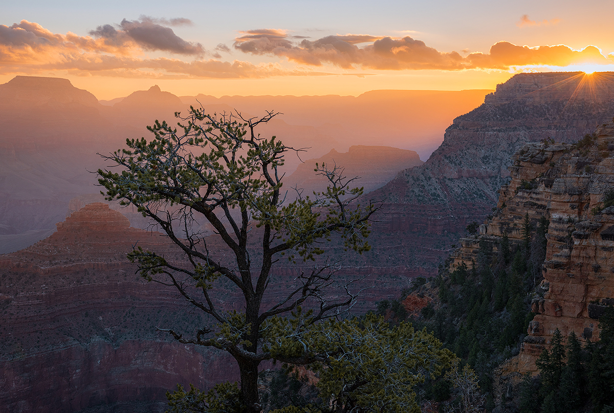 Canyon Daybreak