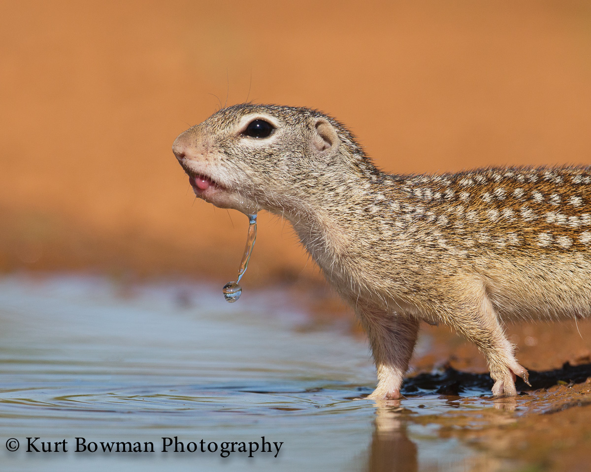 Slurp!