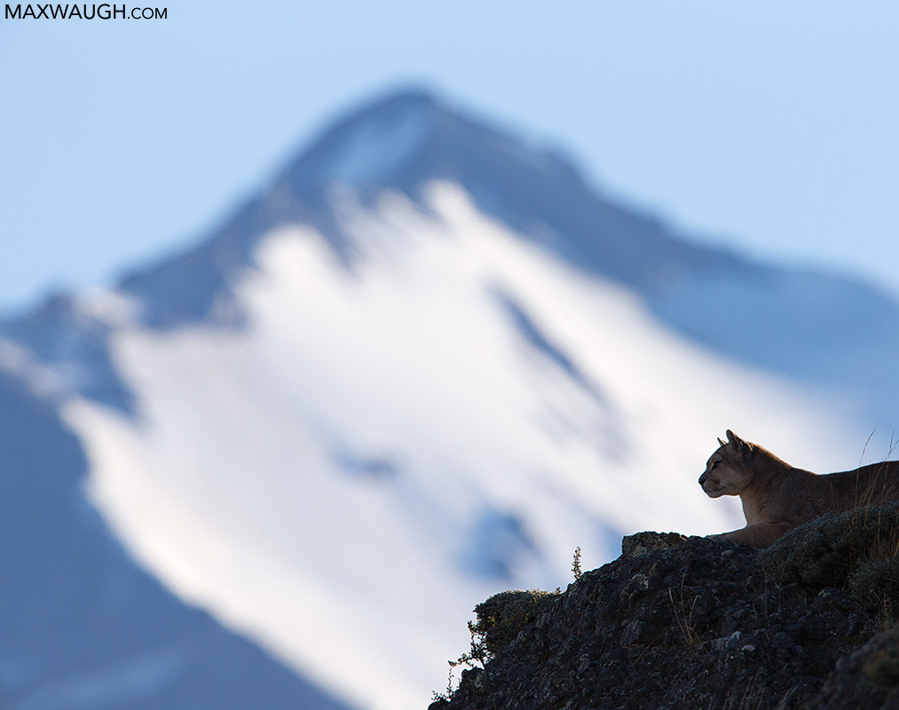 Queen of the Mountains