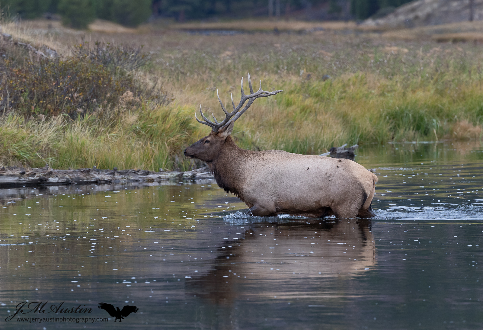 River Crossing