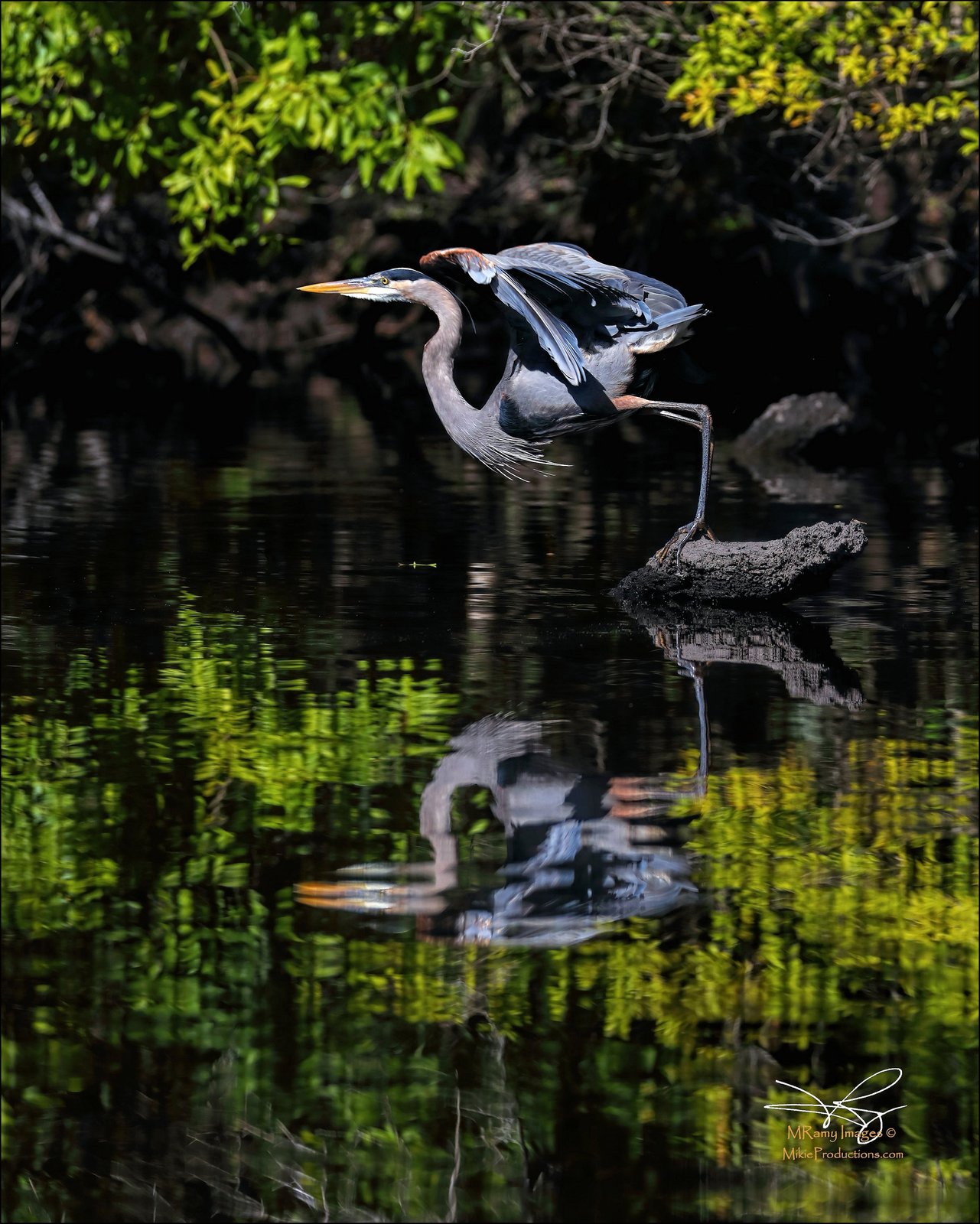 Take-Off Reflections