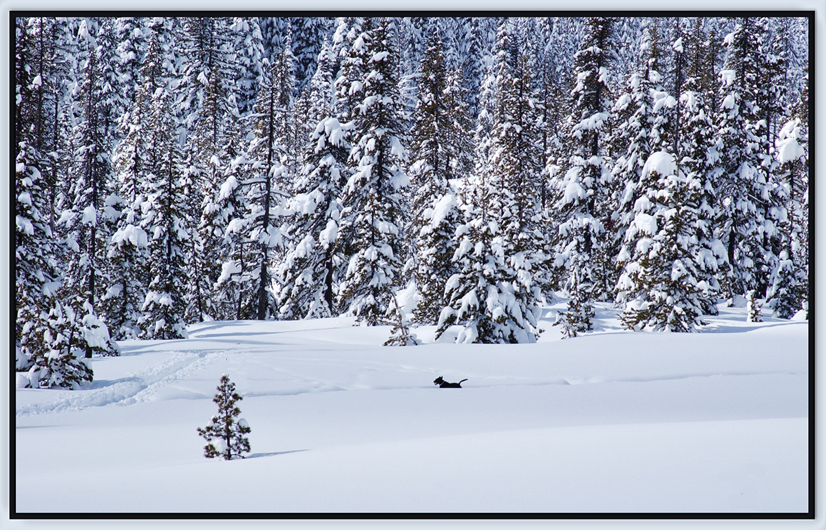 Snow Fun