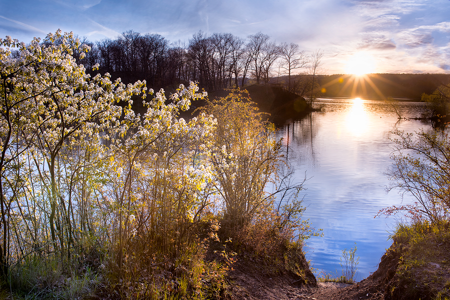 Spring comes back