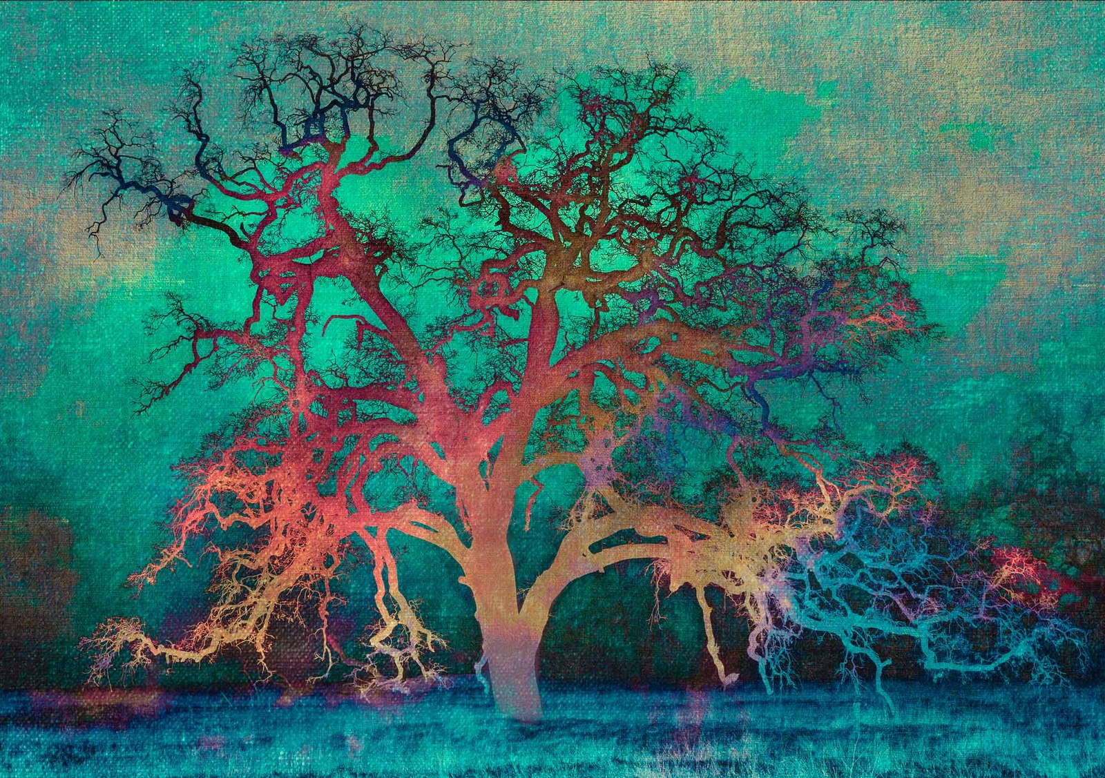 Rainbow Tree