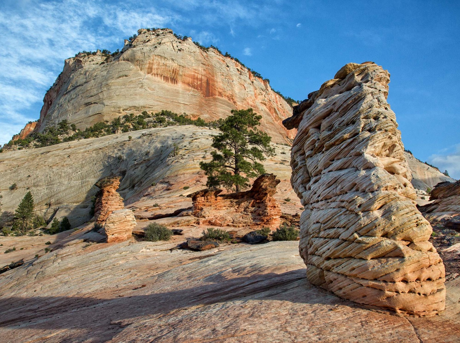 Zion morning
