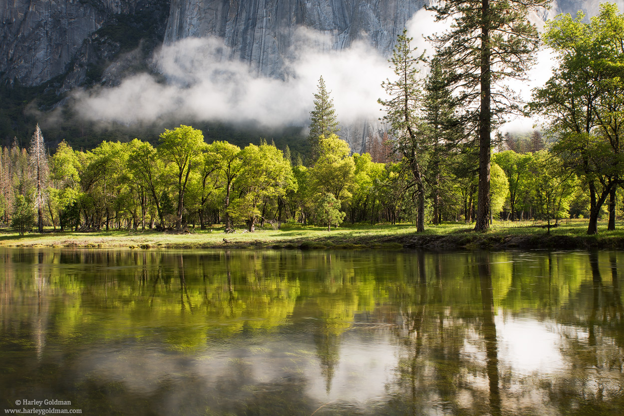 Merced River Reflections