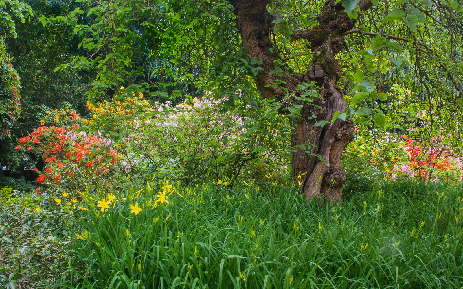 A Corner of the Garden