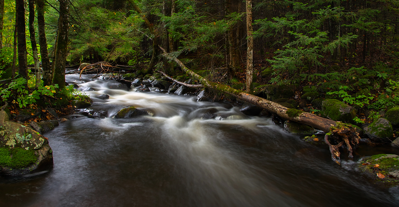 River in the Rain
