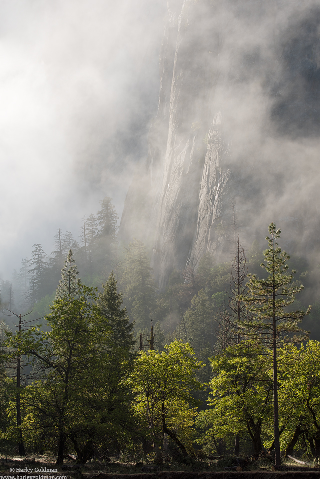 Foggy Wall