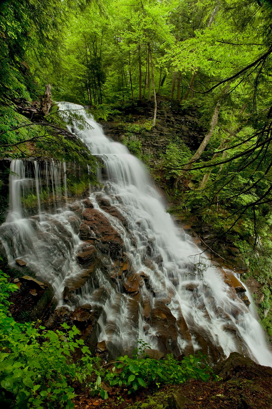 Ganoga Falls # 2