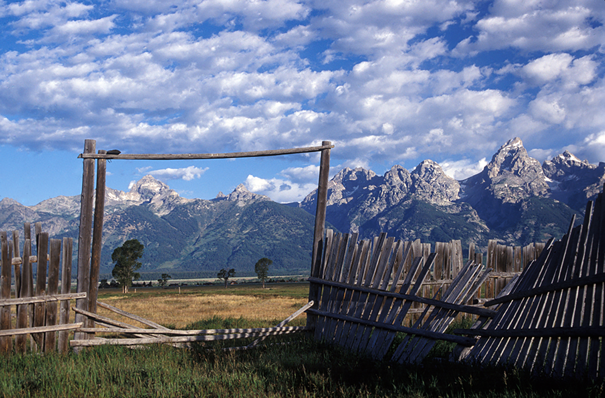 Teton Corral