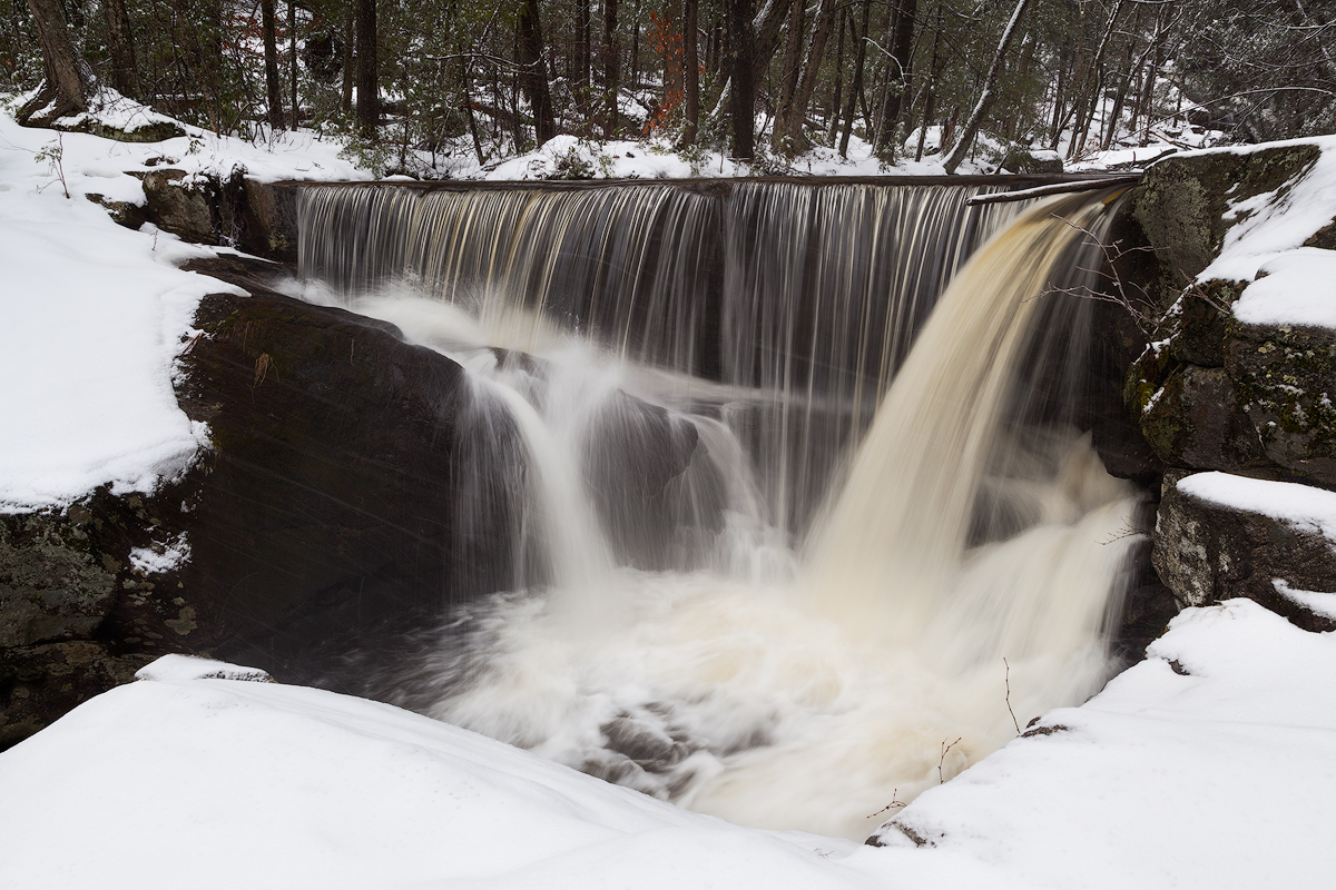 Snow Falls
