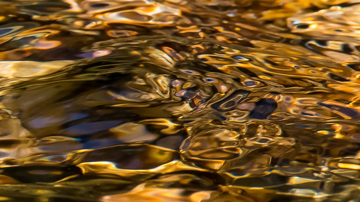 Creek Closeup