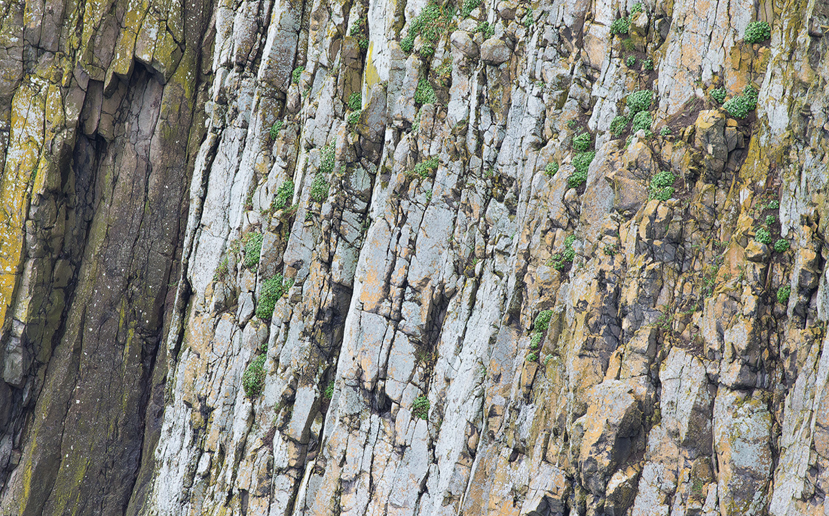 Yaquina Head Cliff