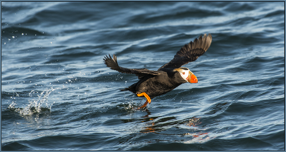 Take-off