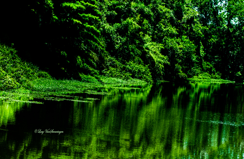 Perfection Reflection