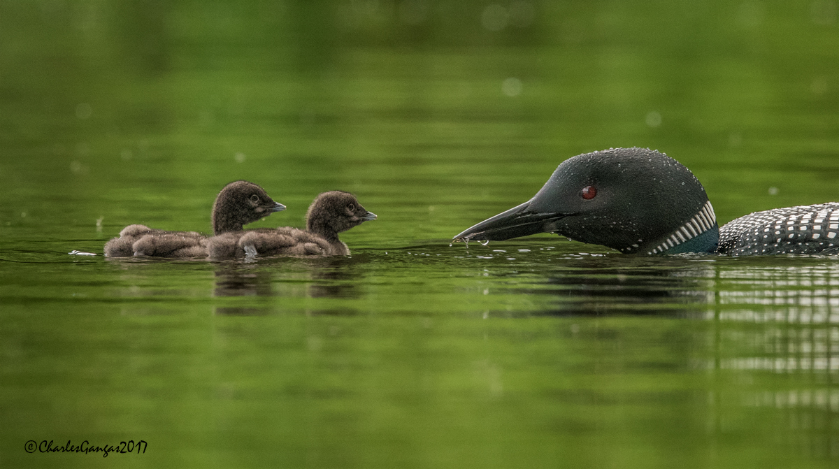 Mom_Feeding