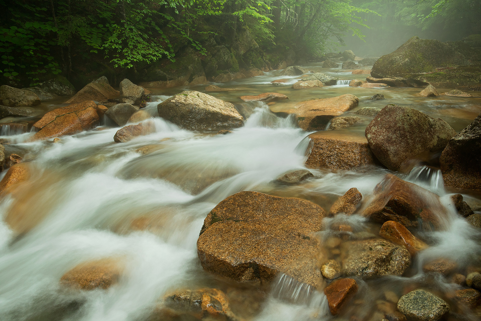 Mist on the Pemi