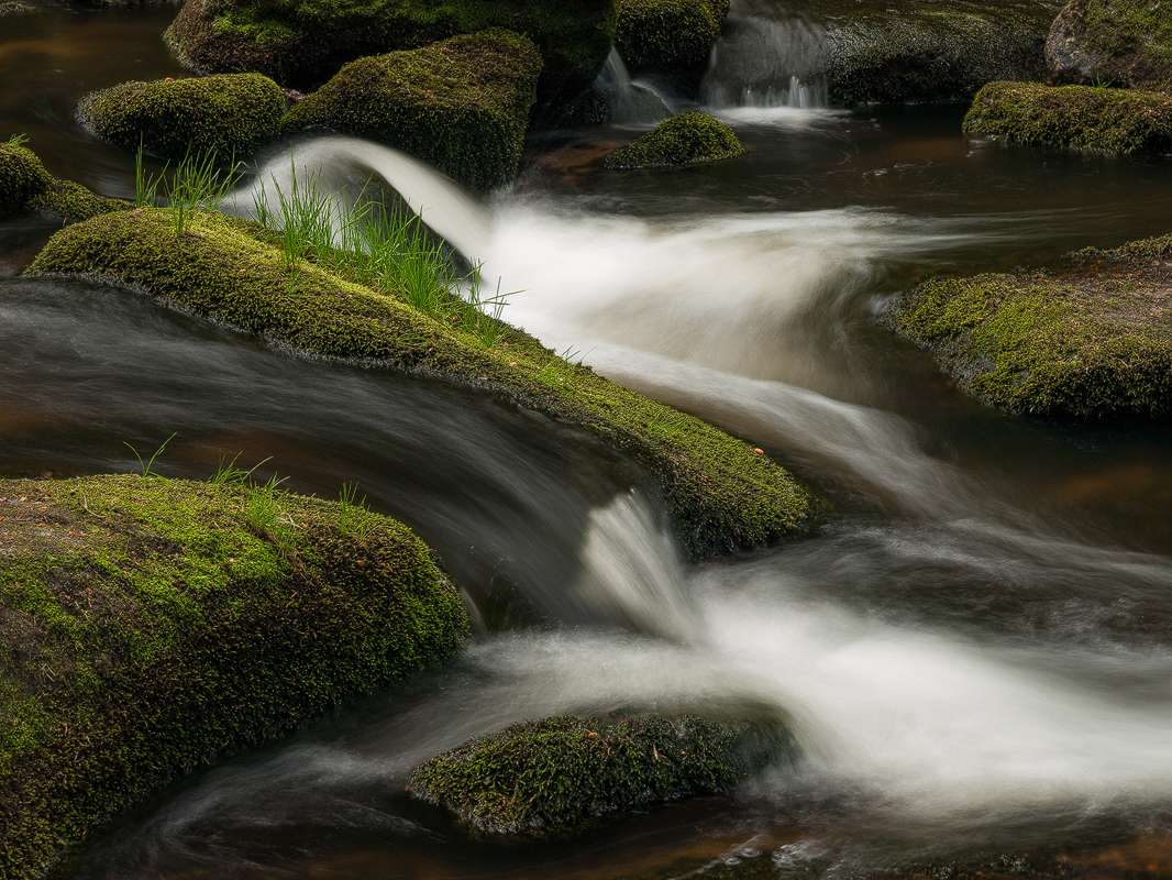 From a Hidden Place