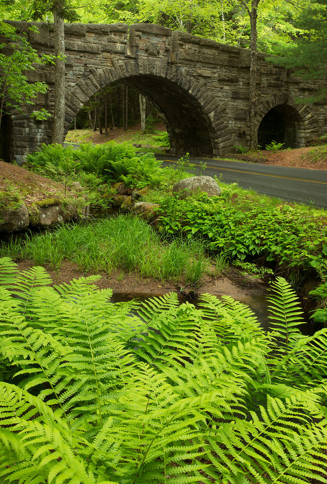 Carriage Road Bridge