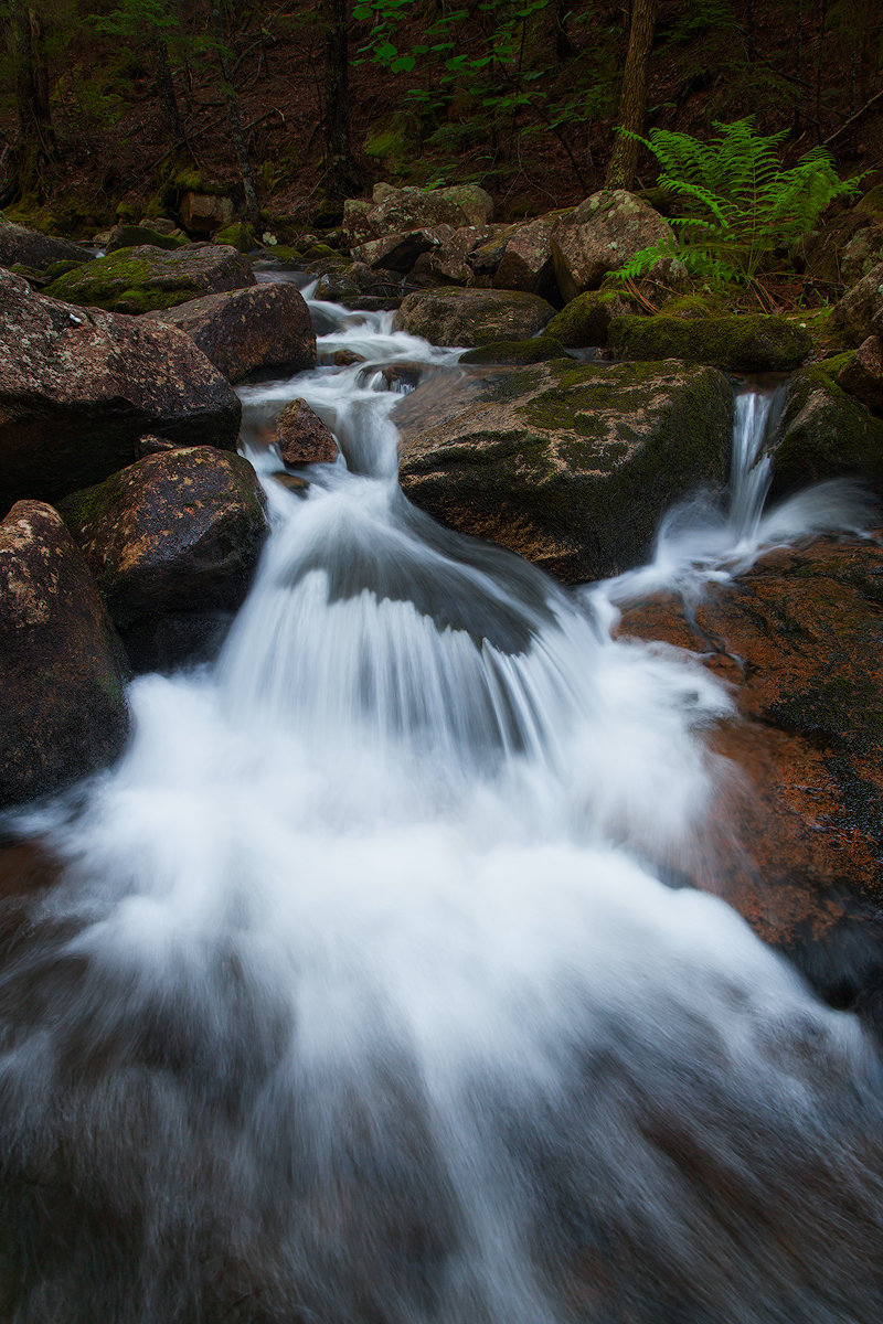 Jordan Stream