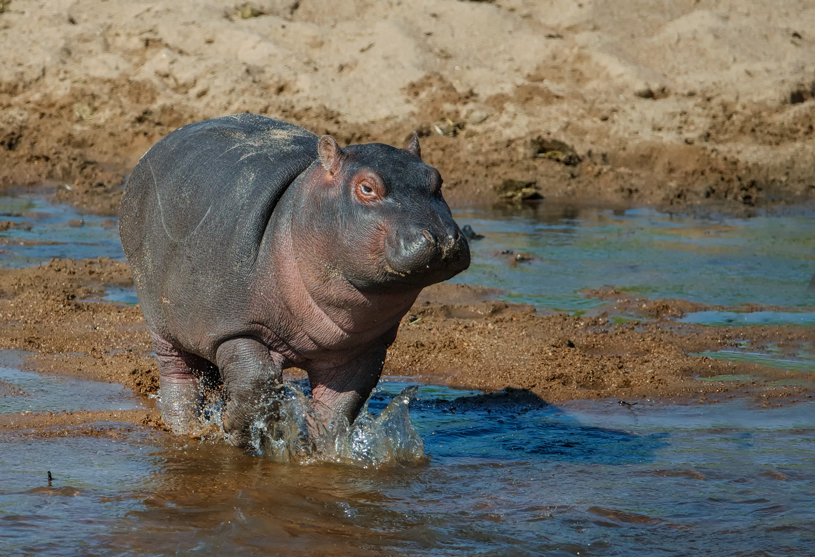 Crossing The Ruaha
