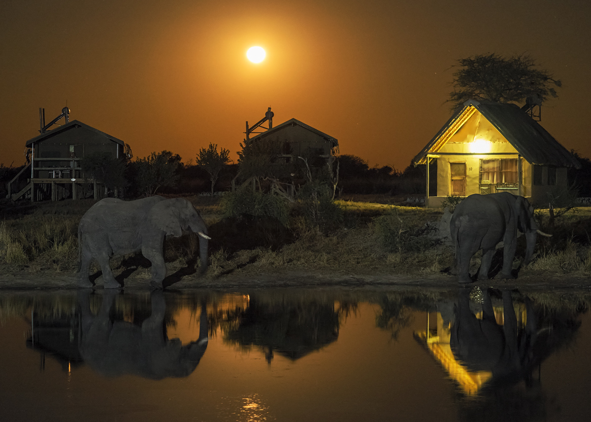 Moonrise Elephant Sands