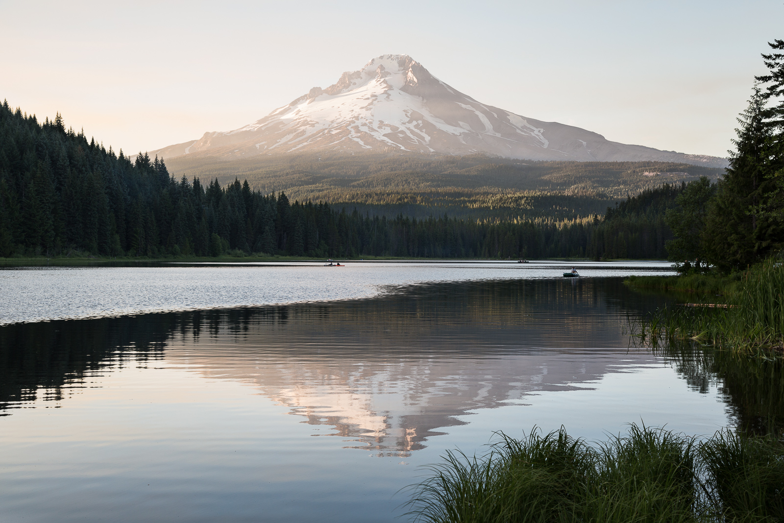 Trillium Reflections + Repo