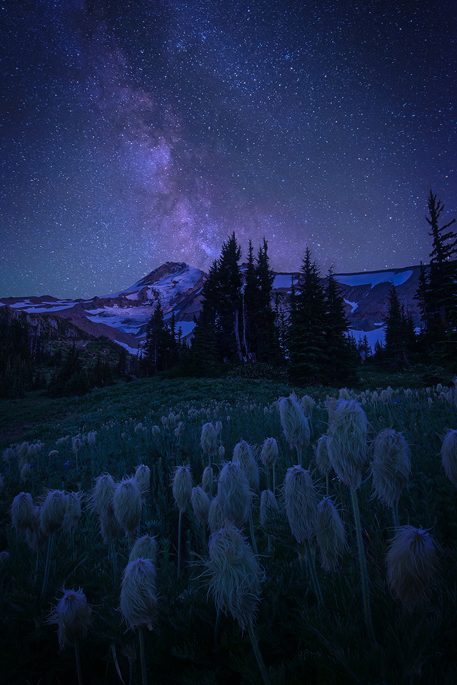 Star Gazers