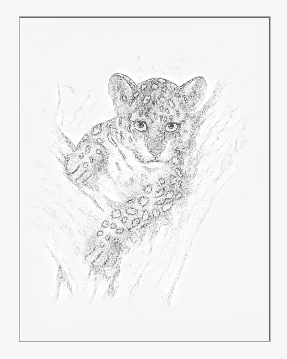 Jungle Eyes