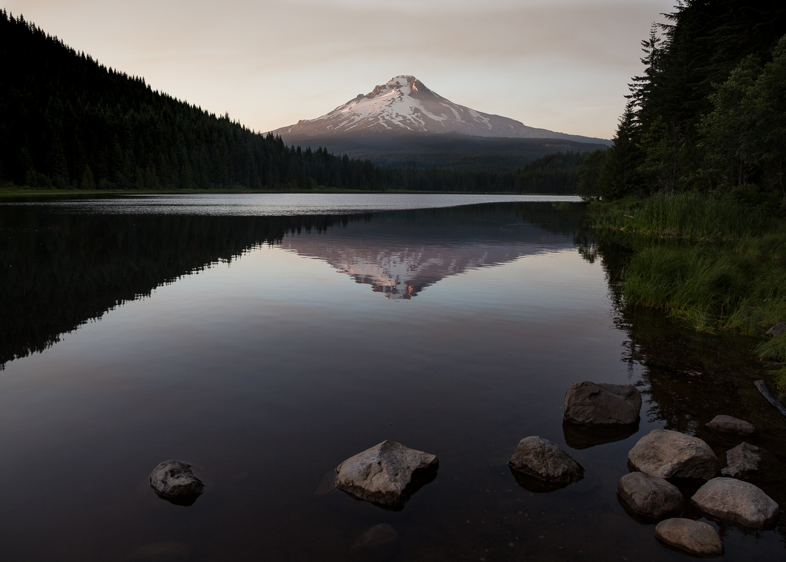 Trillium and Mt. Hood