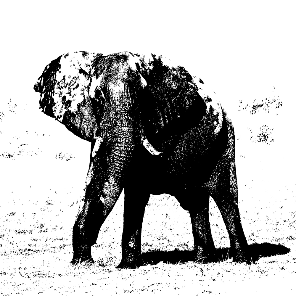 Confrontation Etching