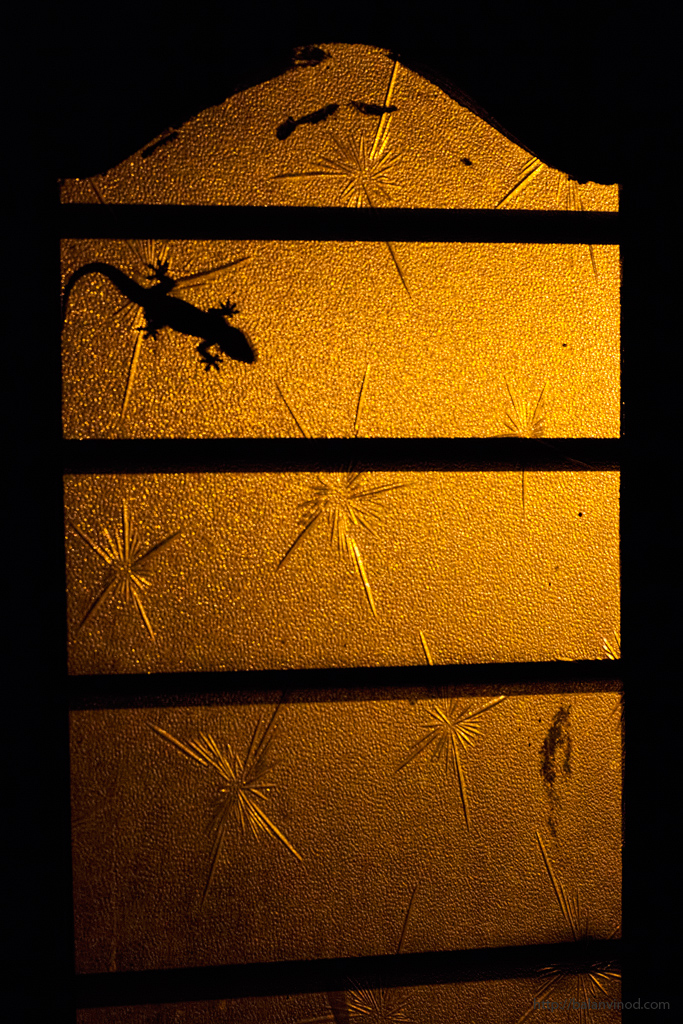 By the Window