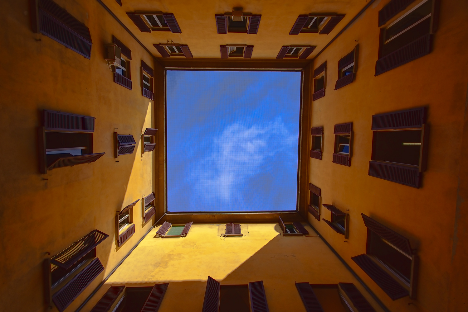 Looking Up
