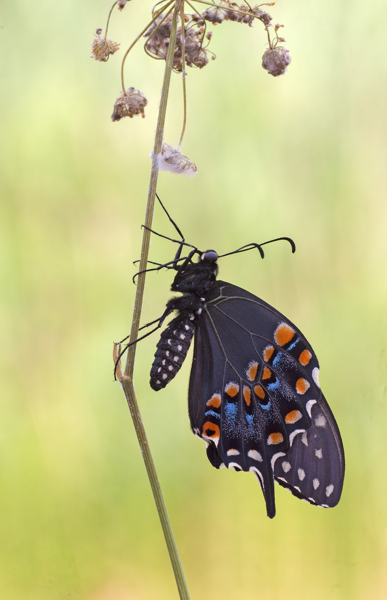 Nature Never Waits