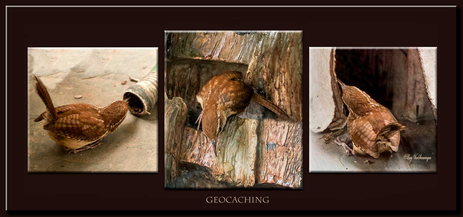 Texas Geocaching