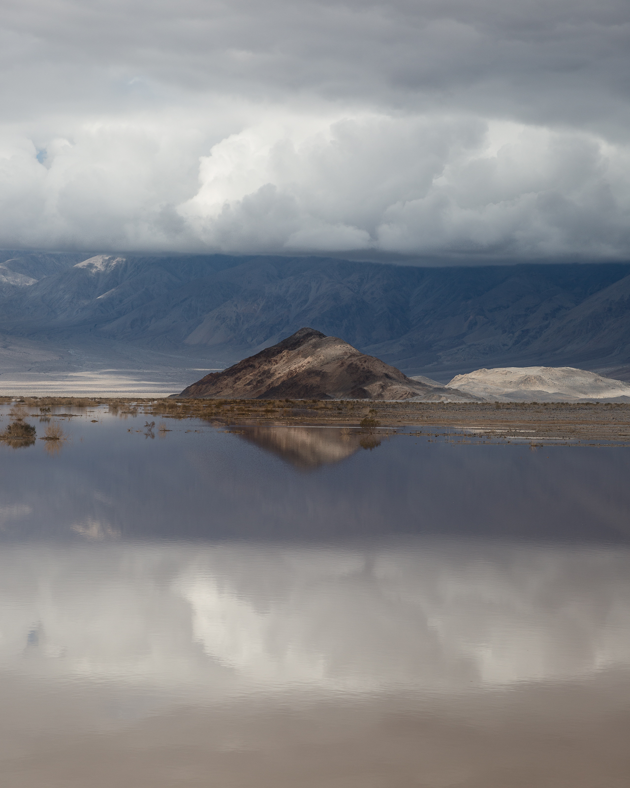 N. Panamint Reposts