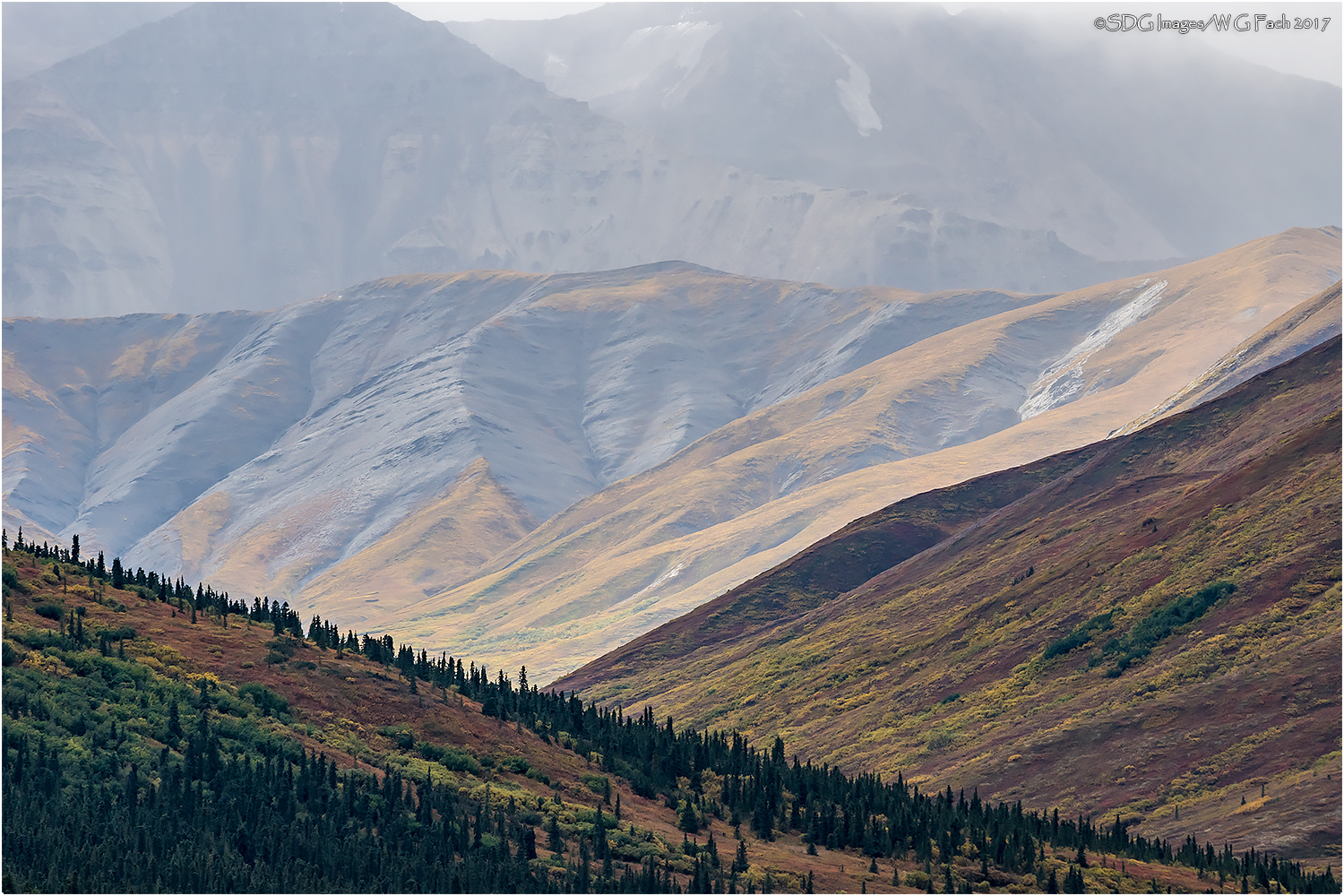 Denali Emerging