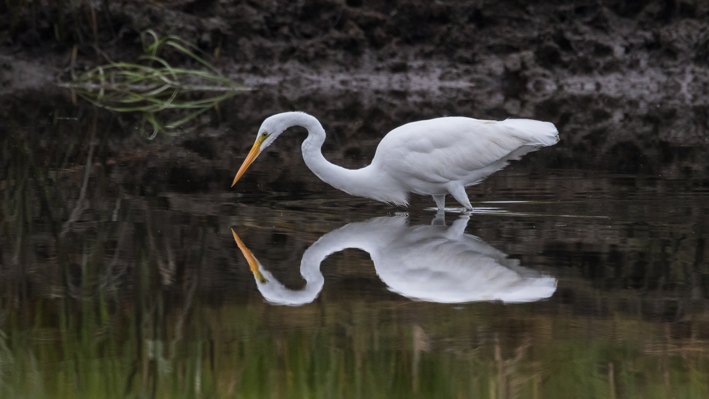Reflections two