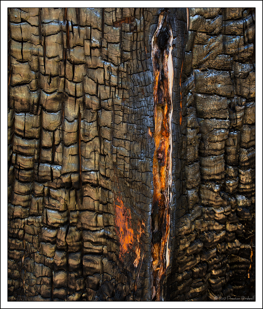 Recalling the Fire