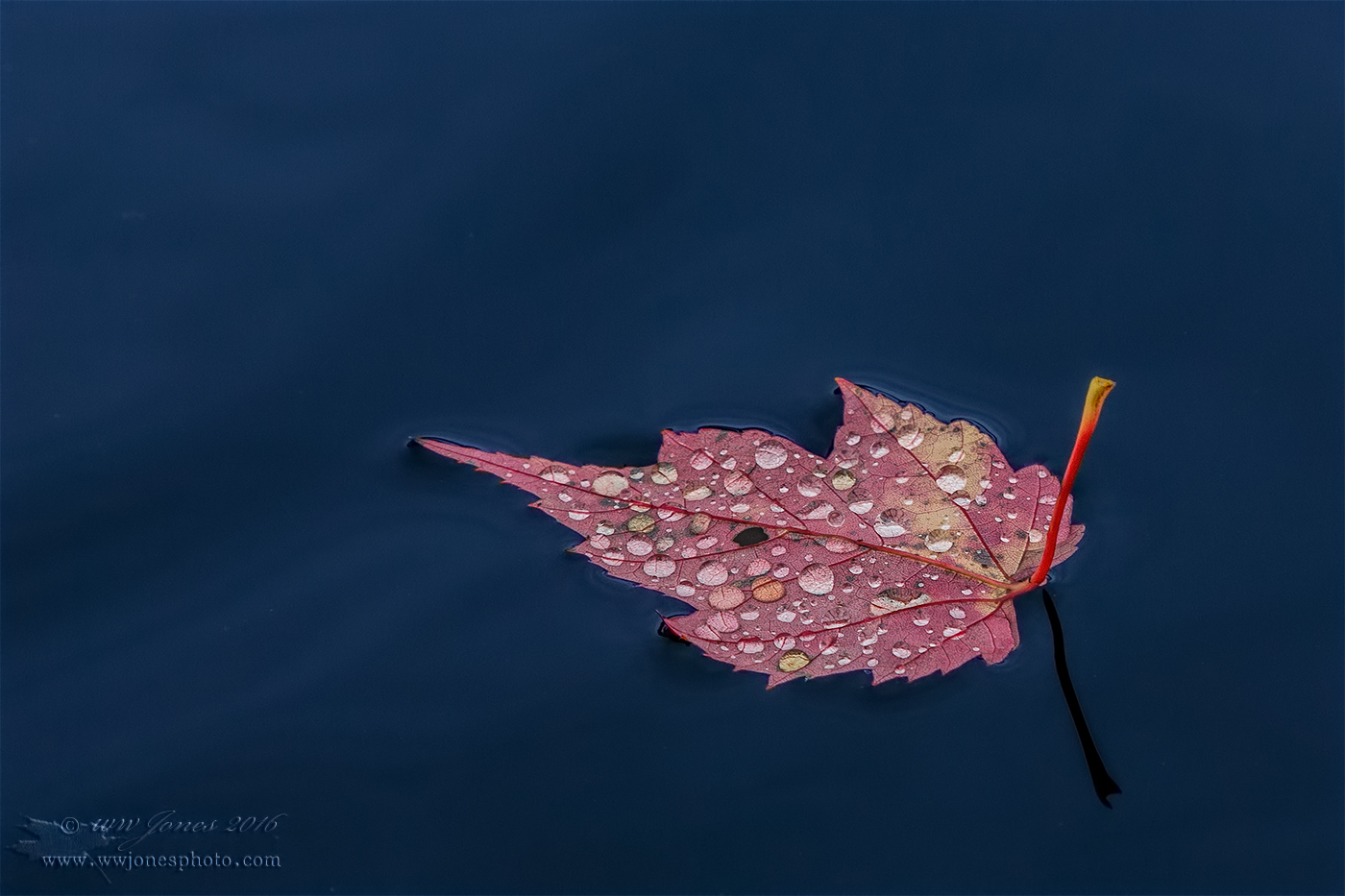 RainGems_Long Pd-16