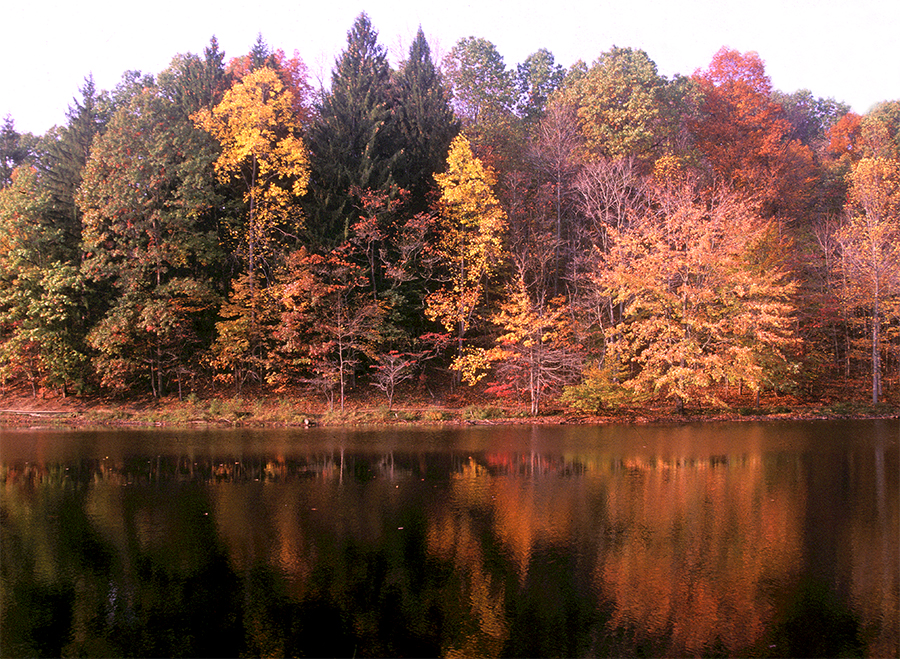 Strahl Lake 