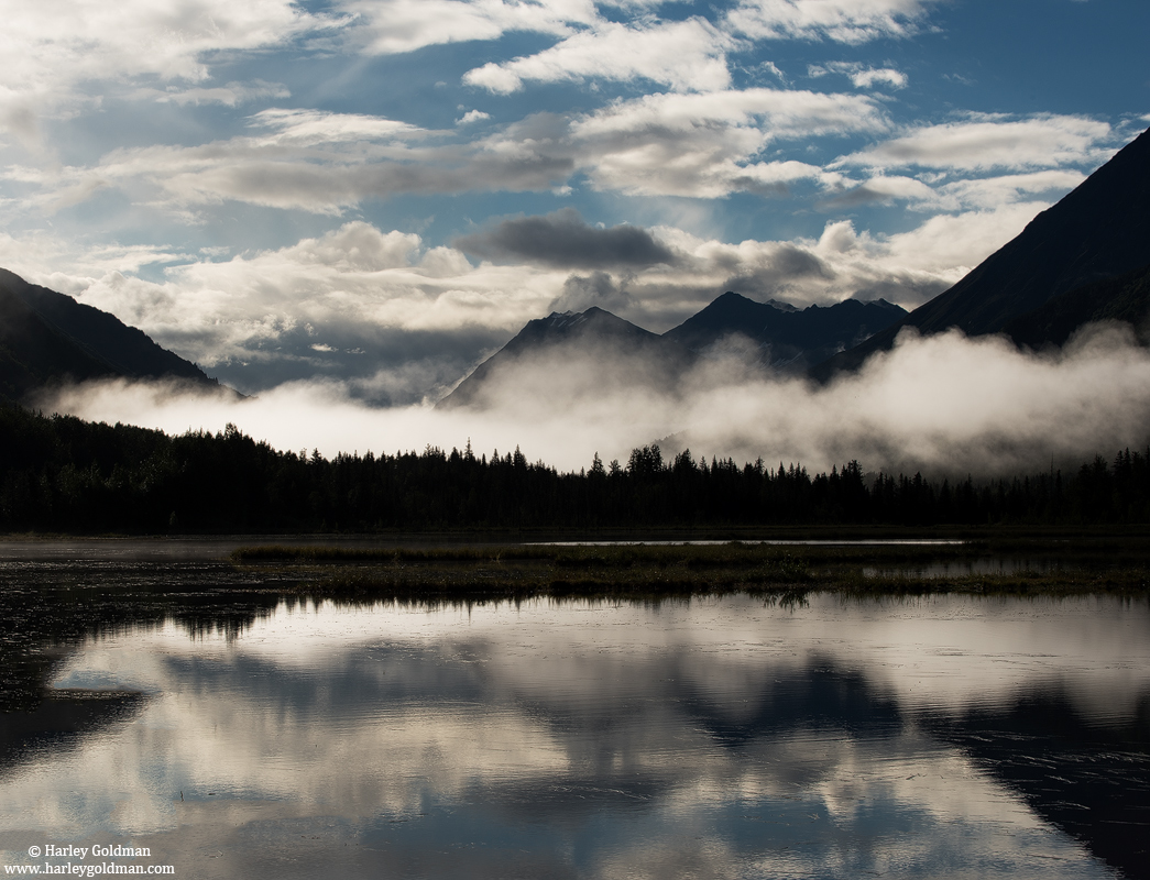 Thoughtful Reflections