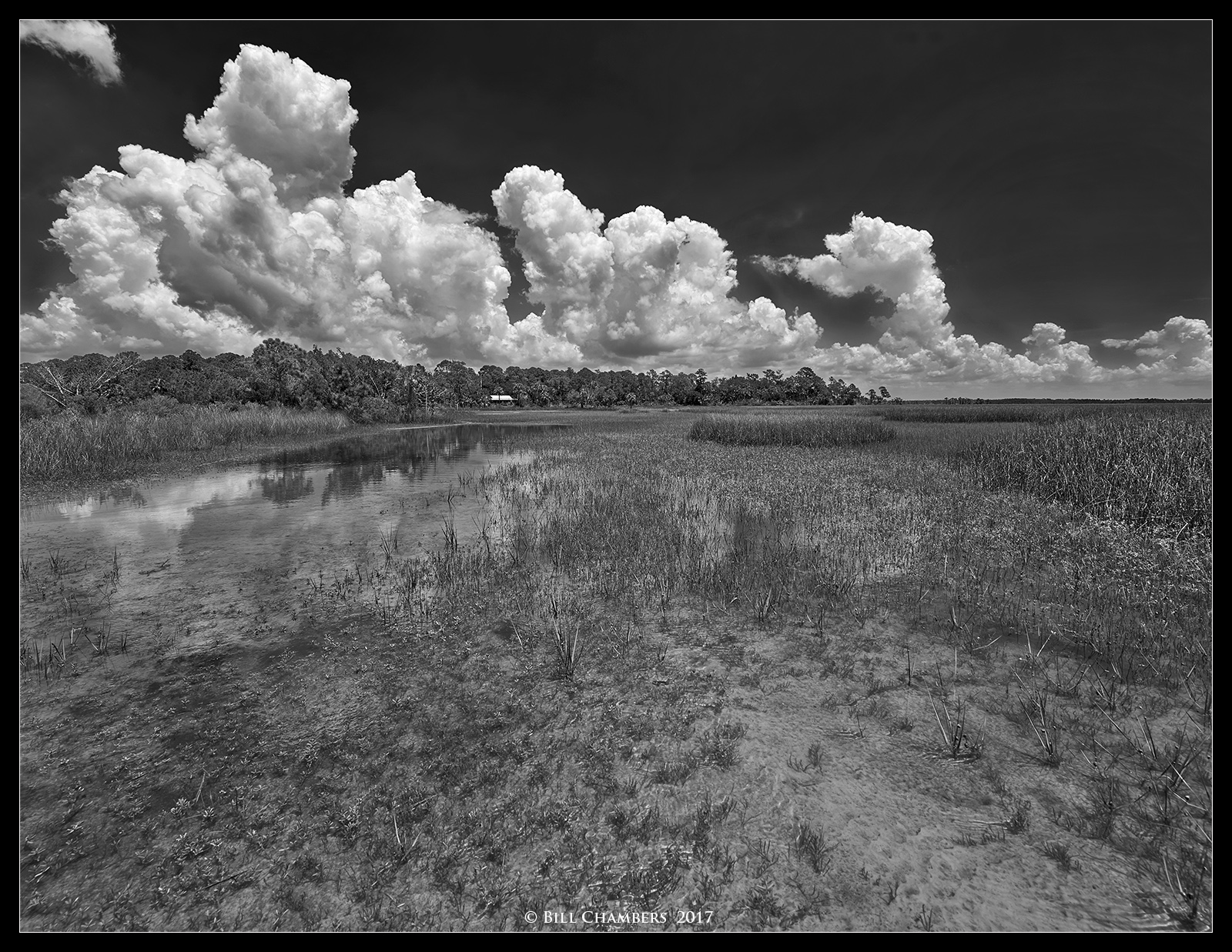 Cabin in the Marsh