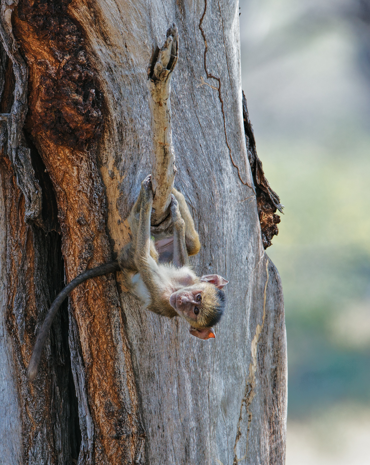 Hanging Around