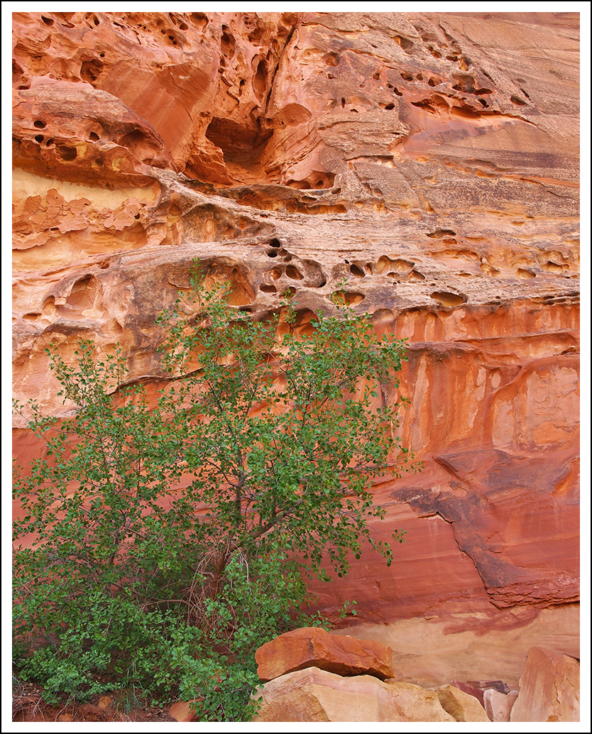Capital Gorge