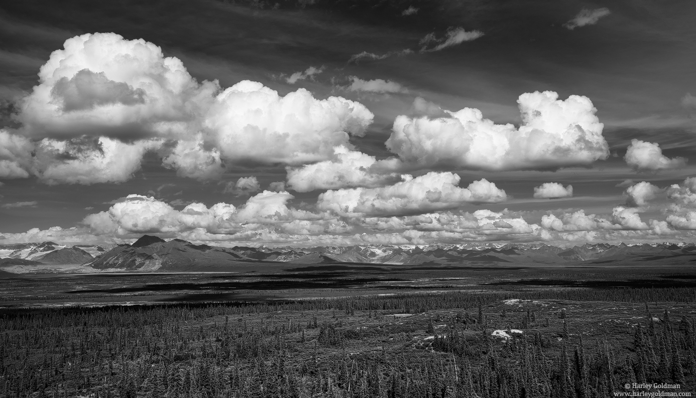 Denali Highway 3